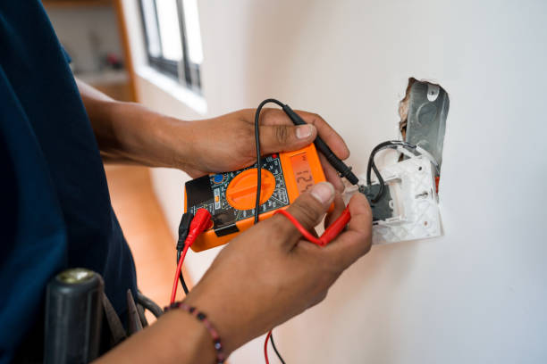 Best Electrician for Home Renovation  in Lake Ripley, WI