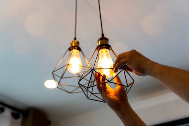 Best Electrical Installation Contractor  in Lake Ripley, WI